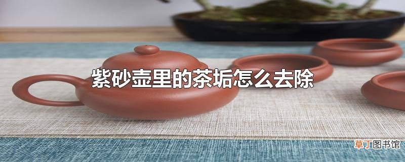 紫砂壶里的茶垢怎么去除