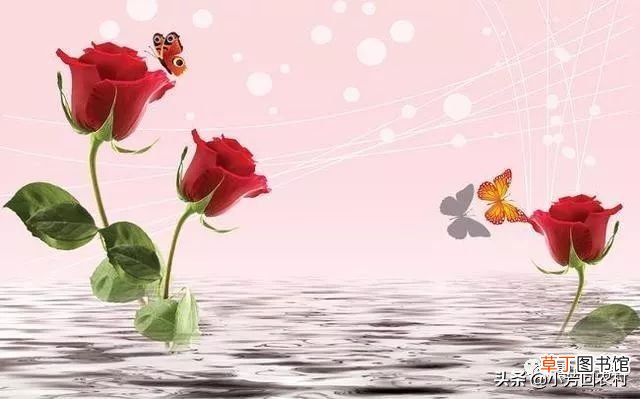 关于光棍节的文章，关于光棍节的文章