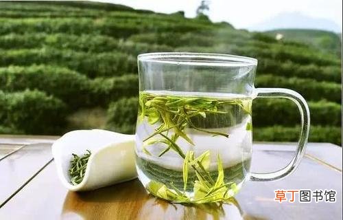 喝什么茶降糖效果最好-降糖效果最好的茶是什么