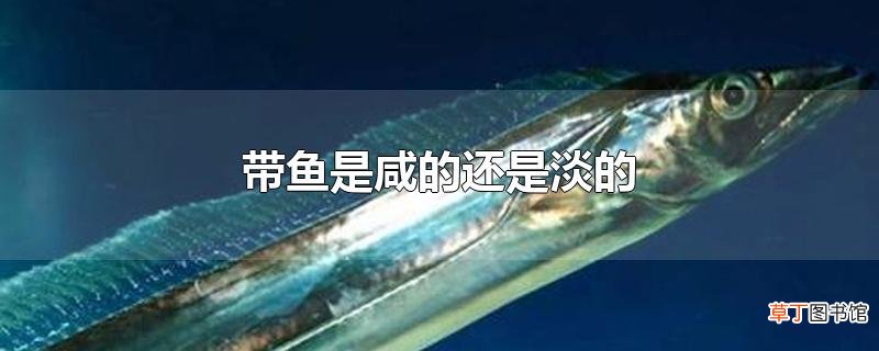 带鱼是咸的还是淡的