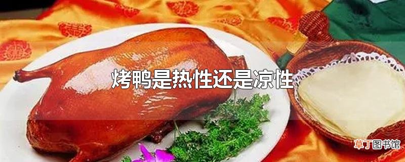 烤鸭是热性还是凉性