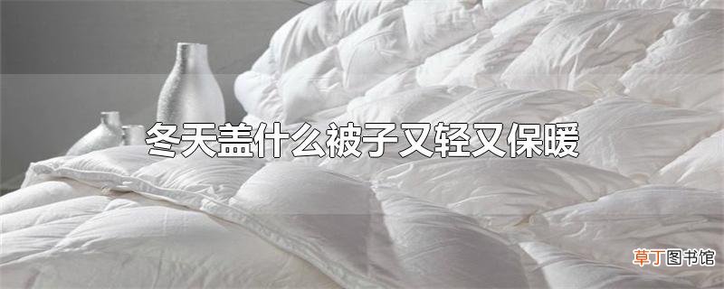 冬天盖什么被子又轻又保暖