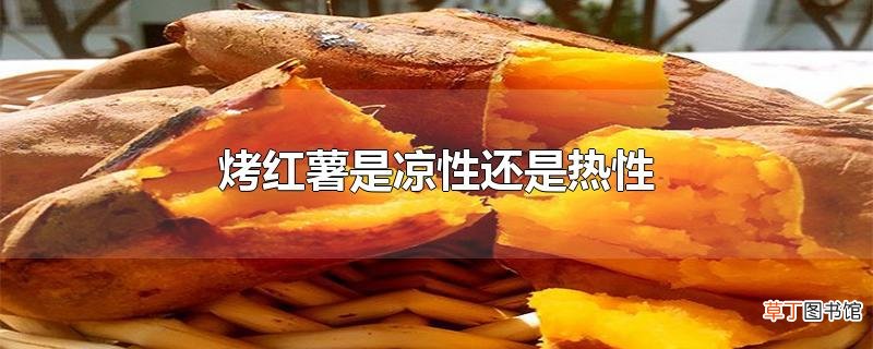 烤红薯是凉性还是热性
