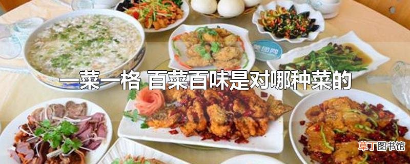 一菜一格 百菜百味是对哪种菜的
