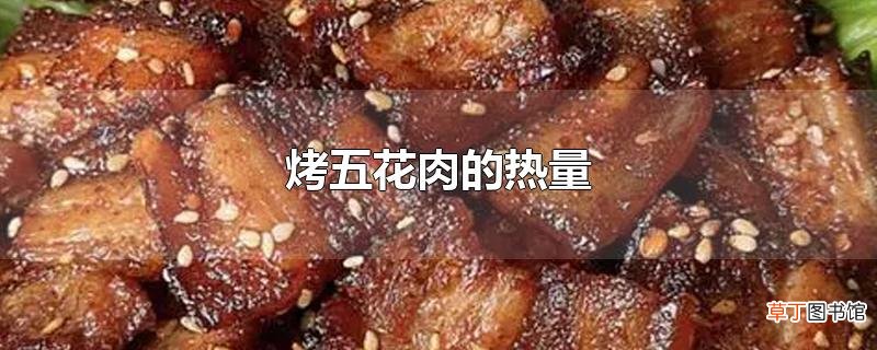 烤五花肉的热量