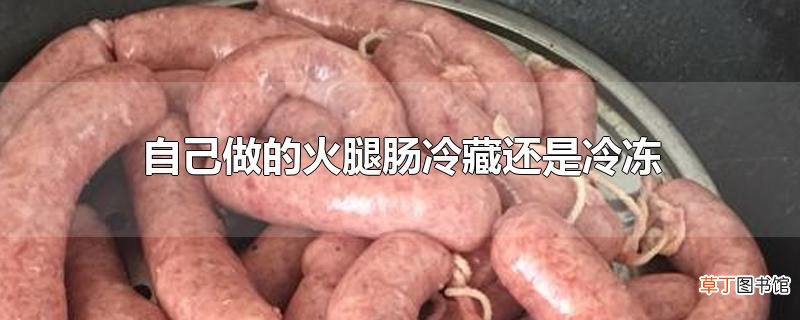 自己做的火腿肠冷藏还是冷冻