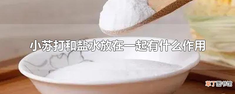 小苏打和盐水放在一起有什么作用