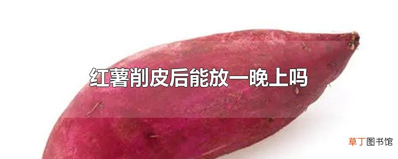 红薯削皮后能放一晚上吗