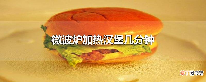 微波炉加热汉堡几分钟