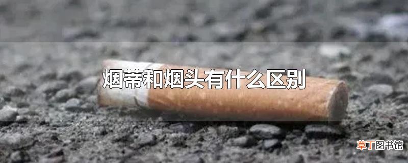 烟蒂和烟头有什么区别