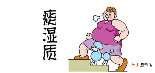 痰湿质药物养生-痰湿质药物养生推荐