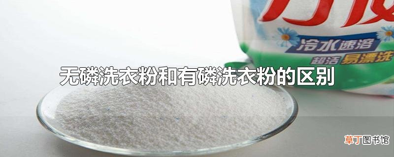 无磷洗衣粉和有磷洗衣粉的区别