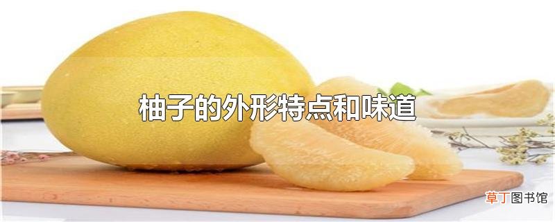 柚子的外形特点和味道