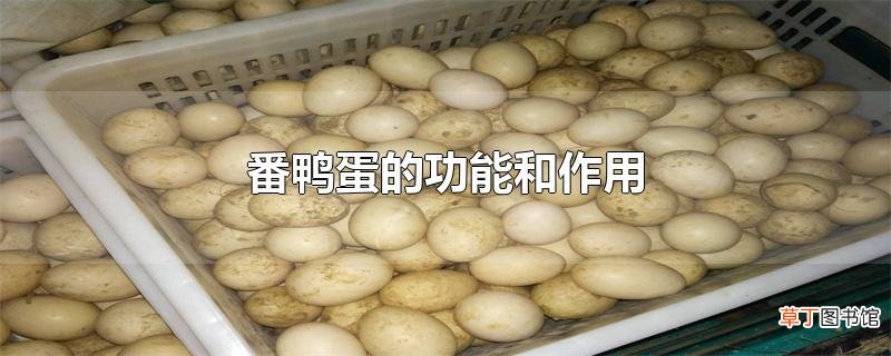 番鸭蛋的功能和作用