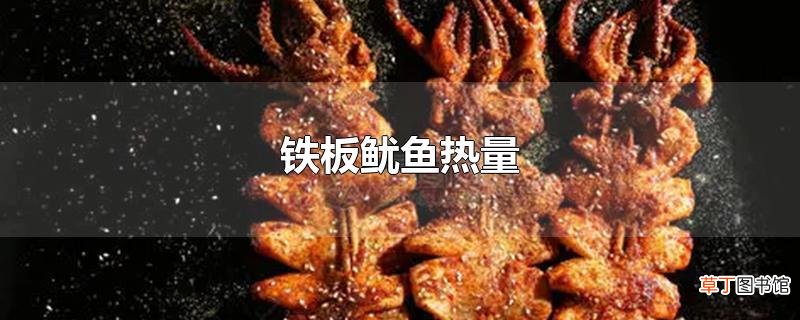 铁板鱿鱼热量
