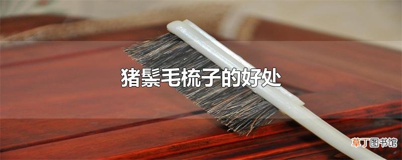 猪鬃毛梳子的好处