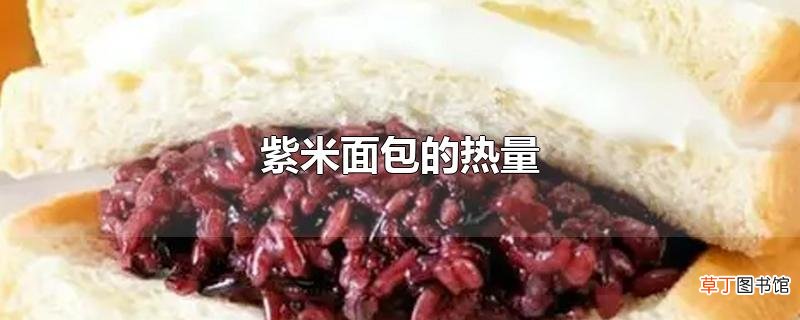 紫米面包的热量