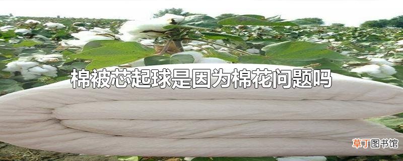 棉被芯起球是因为棉花问题吗