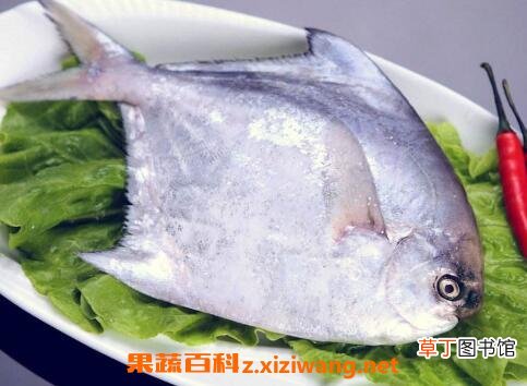 昌鱼的功效与作用 吃昌鱼的好处