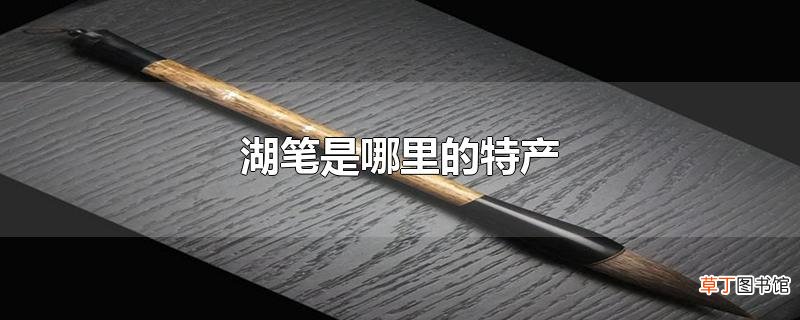 湖笔是哪里的特产