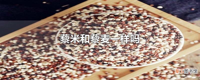 藜米和藜麦一样吗