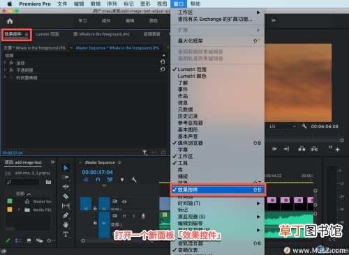 Pr 入门教程如何调整剪辑大小 pr怎么设置视频尺寸