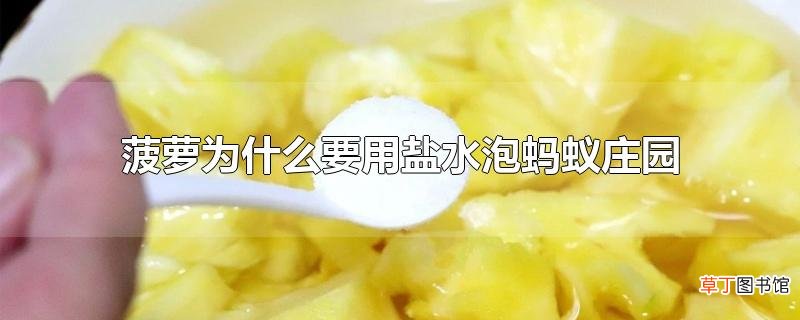 菠萝为什么要用盐水泡蚂蚁庄园
