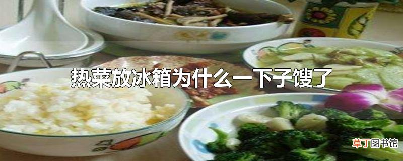 热菜放冰箱为什么一下子馊了