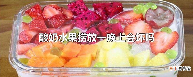 酸奶水果捞放一晚上会坏吗
