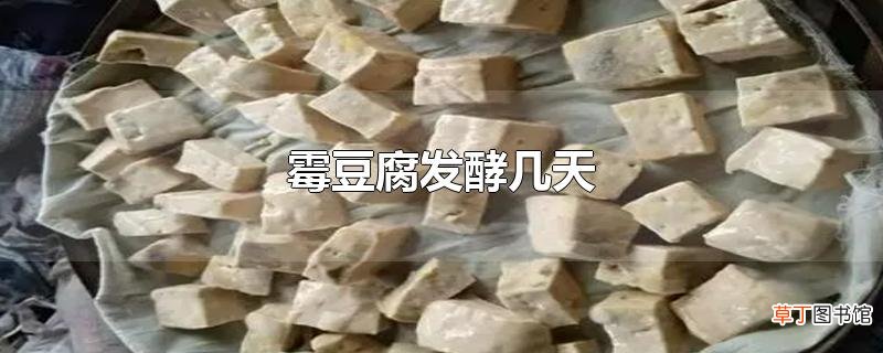 霉豆腐发酵几天