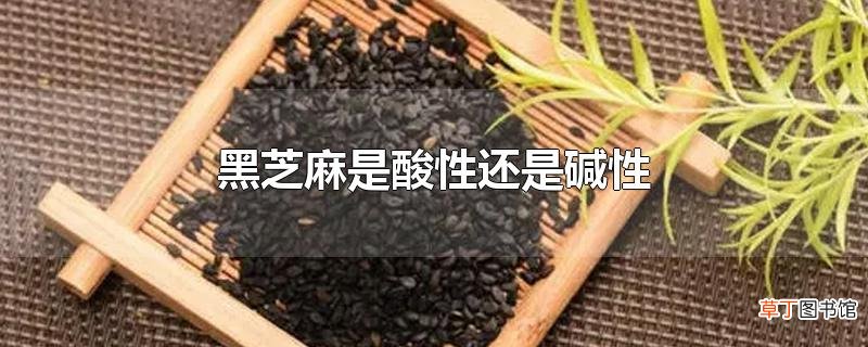 黑芝麻是酸性还是碱性