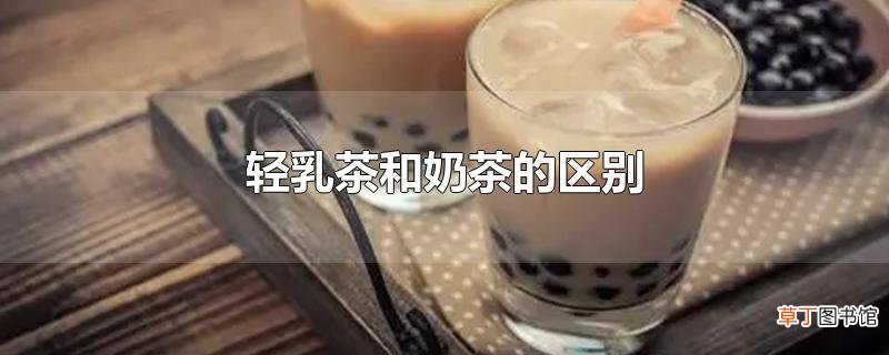 轻乳茶和奶茶的区别