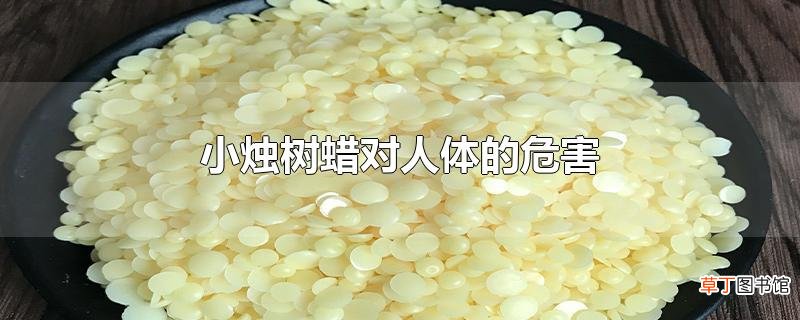 小烛树蜡对人体的危害