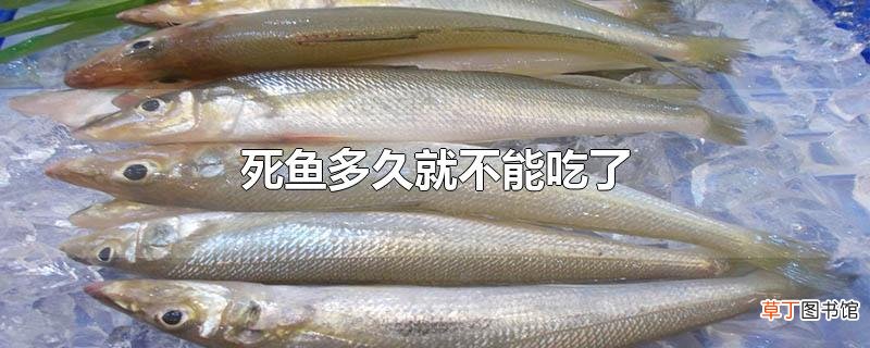 死鱼多久就不能吃了