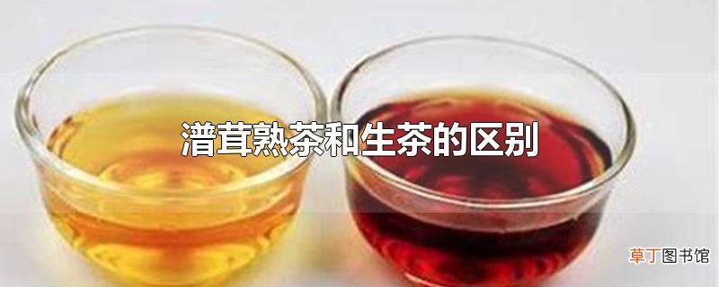 潽茸熟茶和生茶的区别