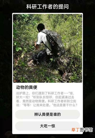 动物的粪便蚂蚁森林