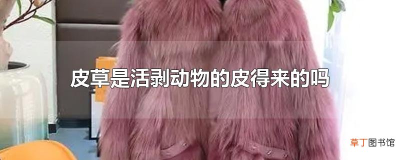 皮草是活剥动物的皮得来的吗