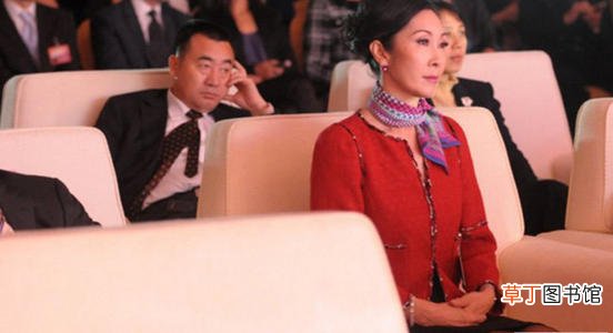 王健林太太林宁是什么背景?