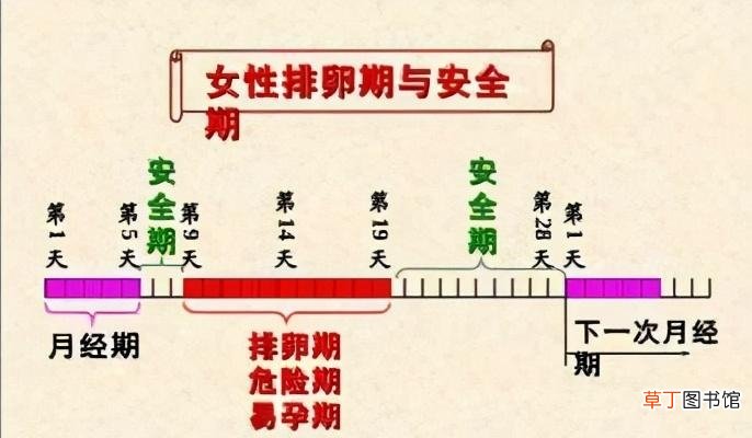 女性安全期是什么时候 安全期在什么时候开始