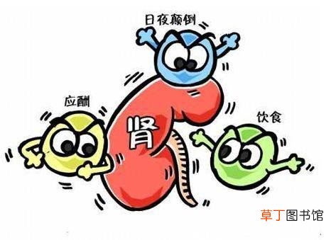 肾阳虚与肾阴虚的主要区别在哪里-肾阳虚与肾阴虚的主要区别