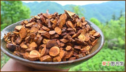 炙甘草的功效与作用-炙甘草功效与作用有哪些