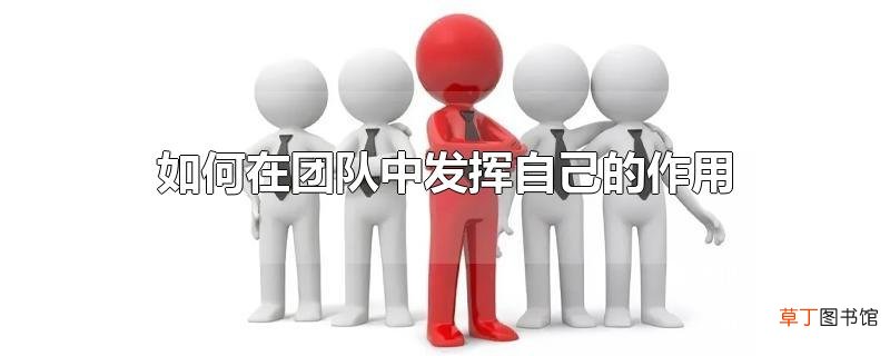 如何在团队中发挥自己的作用？