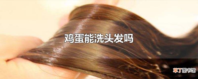 鸡蛋能洗头发吗？用鸡蛋洗头的注意事项