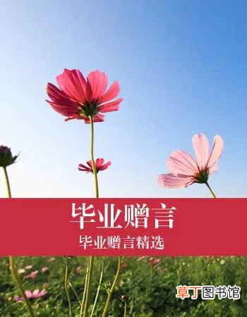赠言小学临别，赠言毕业小学