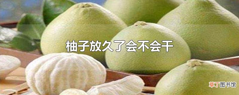 柚子放久了会不会干？柚子怎么保存？