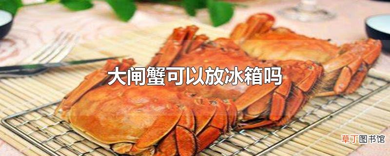 大闸蟹可以放冰箱吗？应注意什么？