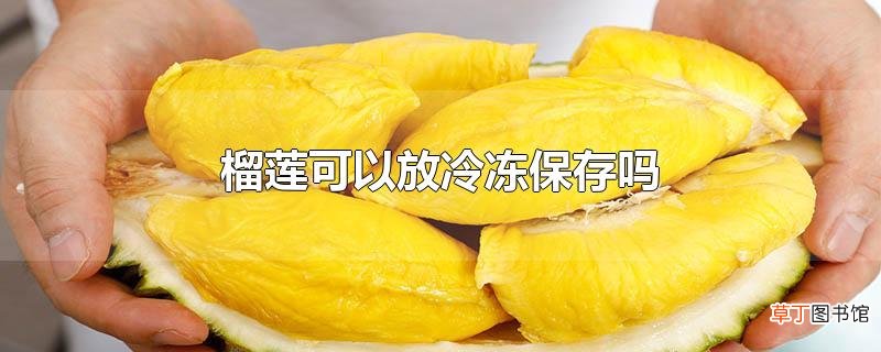 榴莲可以放冷冻保存吗？如何保存榴莲？