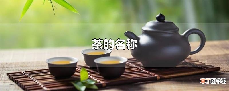 茶的名称有哪些？茶水放了一夜还能喝吗？