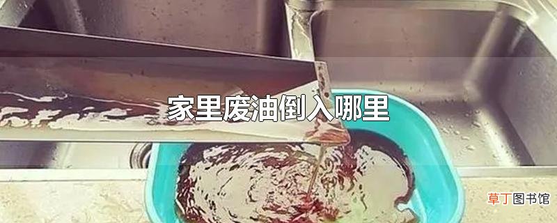 家里废油可以倒入哪里？