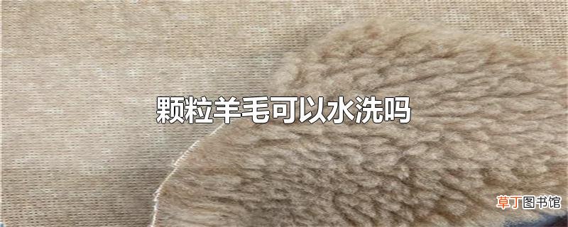 颗粒羊毛可以水洗吗？颗粒羊毛介绍
